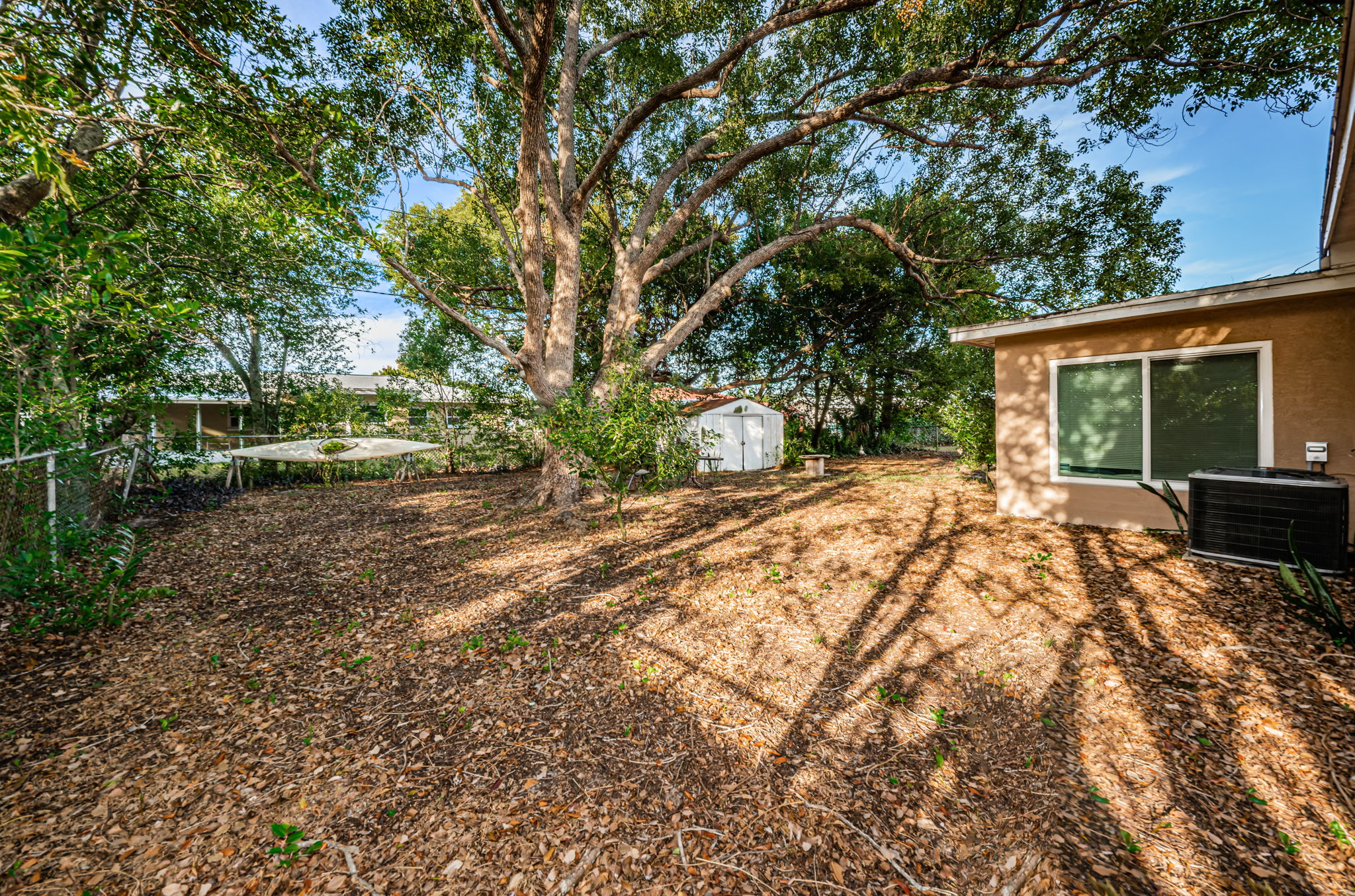 Backyard6