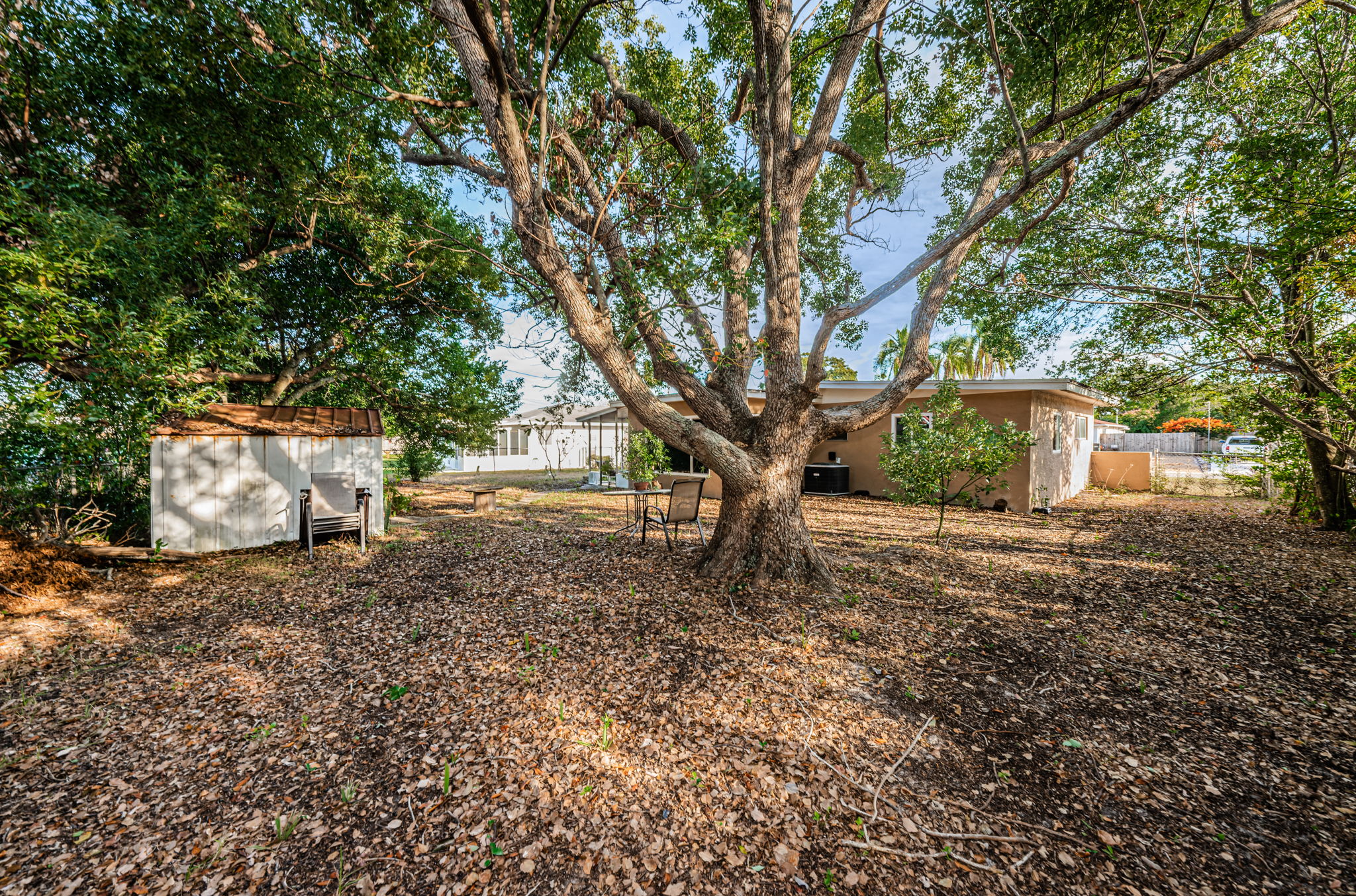 Backyard5