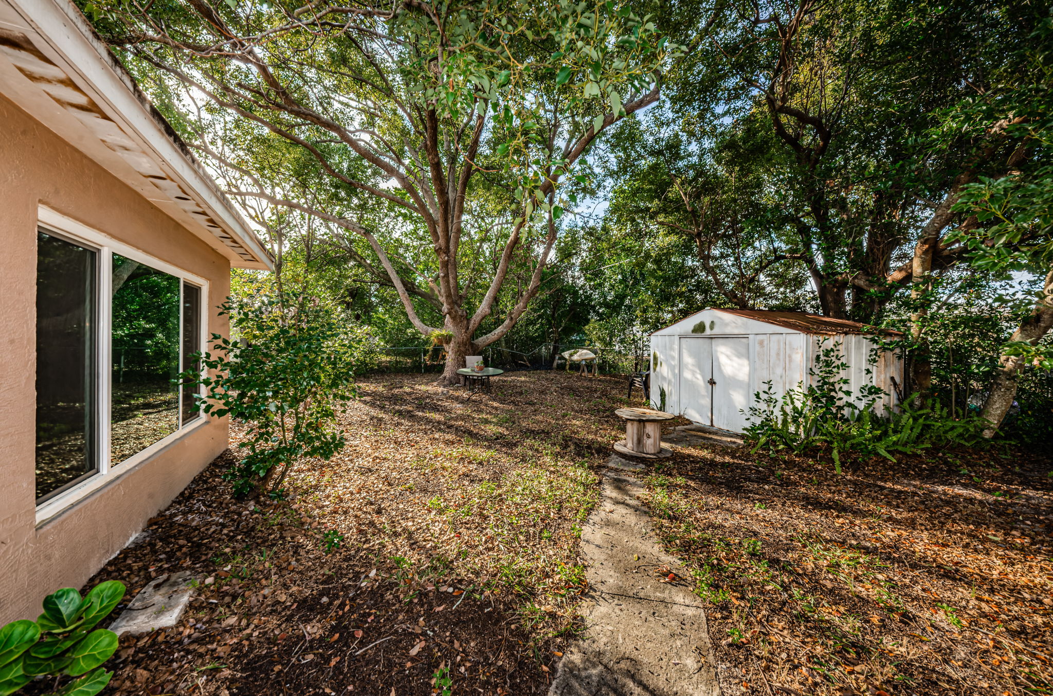 Backyard2