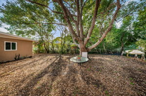 Backyard4