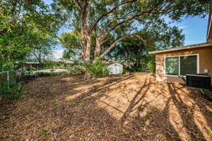 Backyard6