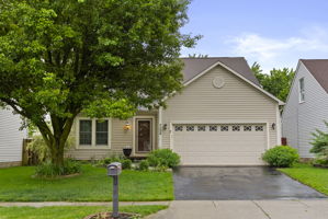  Photo 0