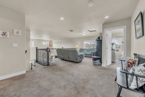 DPB02489