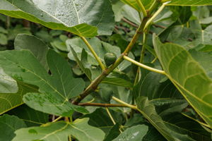  Photo 47
