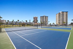 Pickleball Court