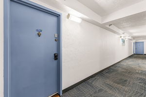  Photo 0