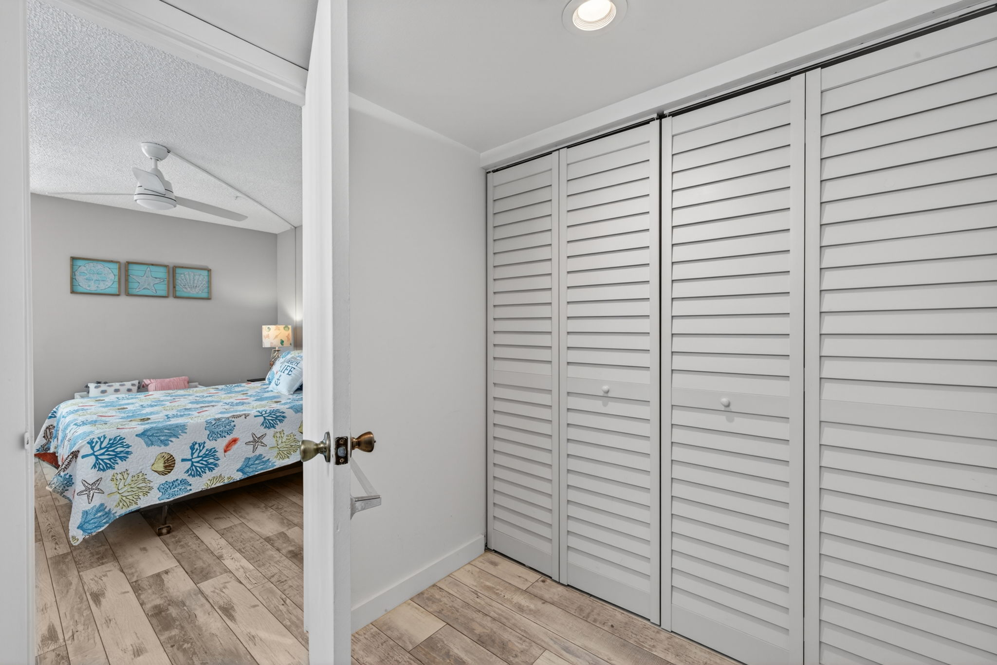 Primary Closet