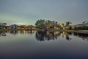 Backyard27