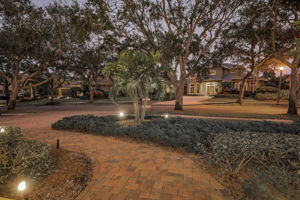 Frontyard