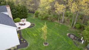 DJI_0051