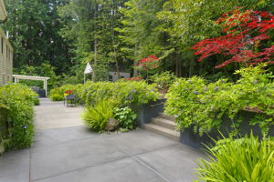 Back Patio Stairs to Back Yard