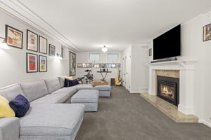Family Room Fireplace - Lower Level