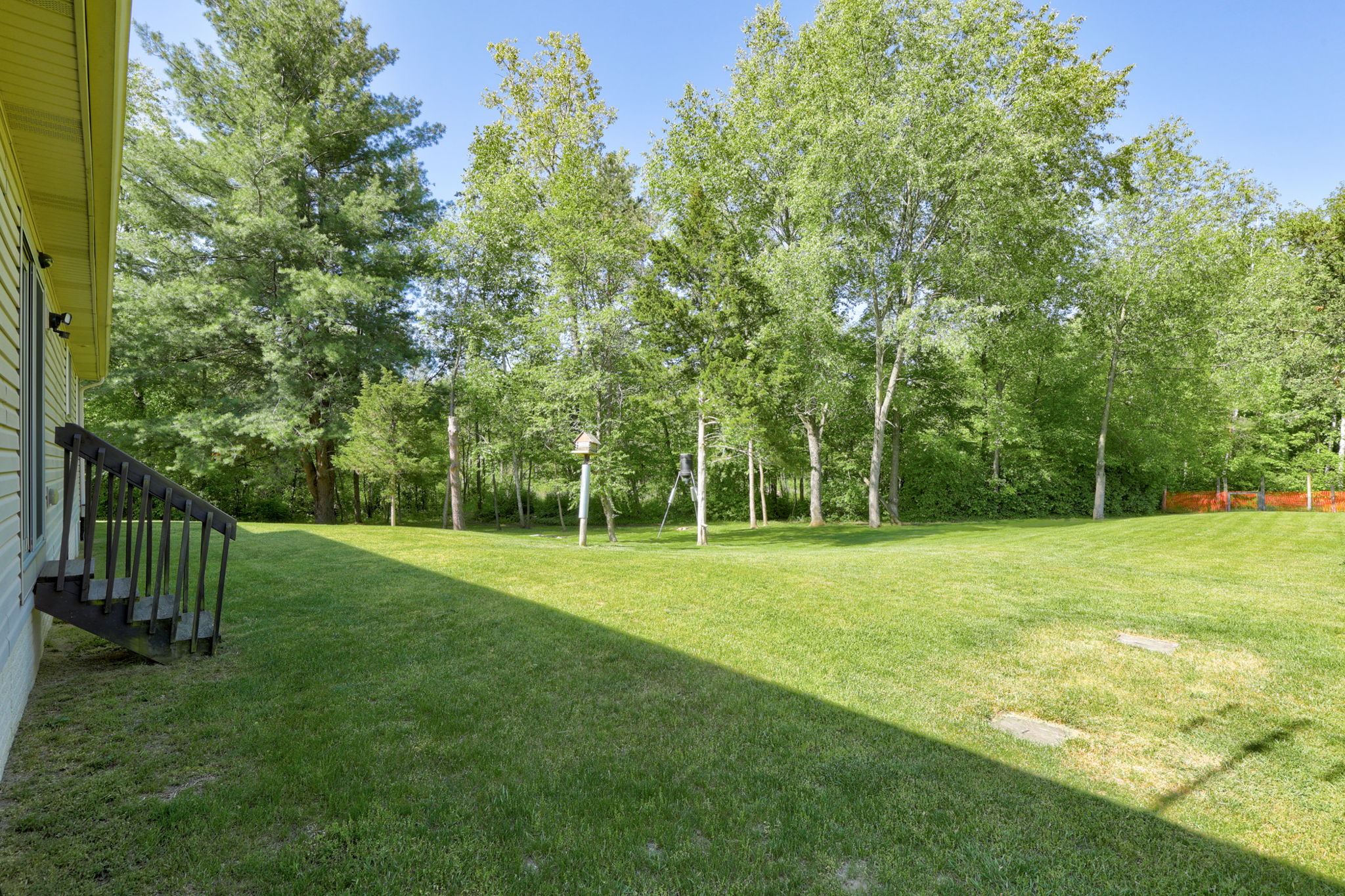 Photo 41