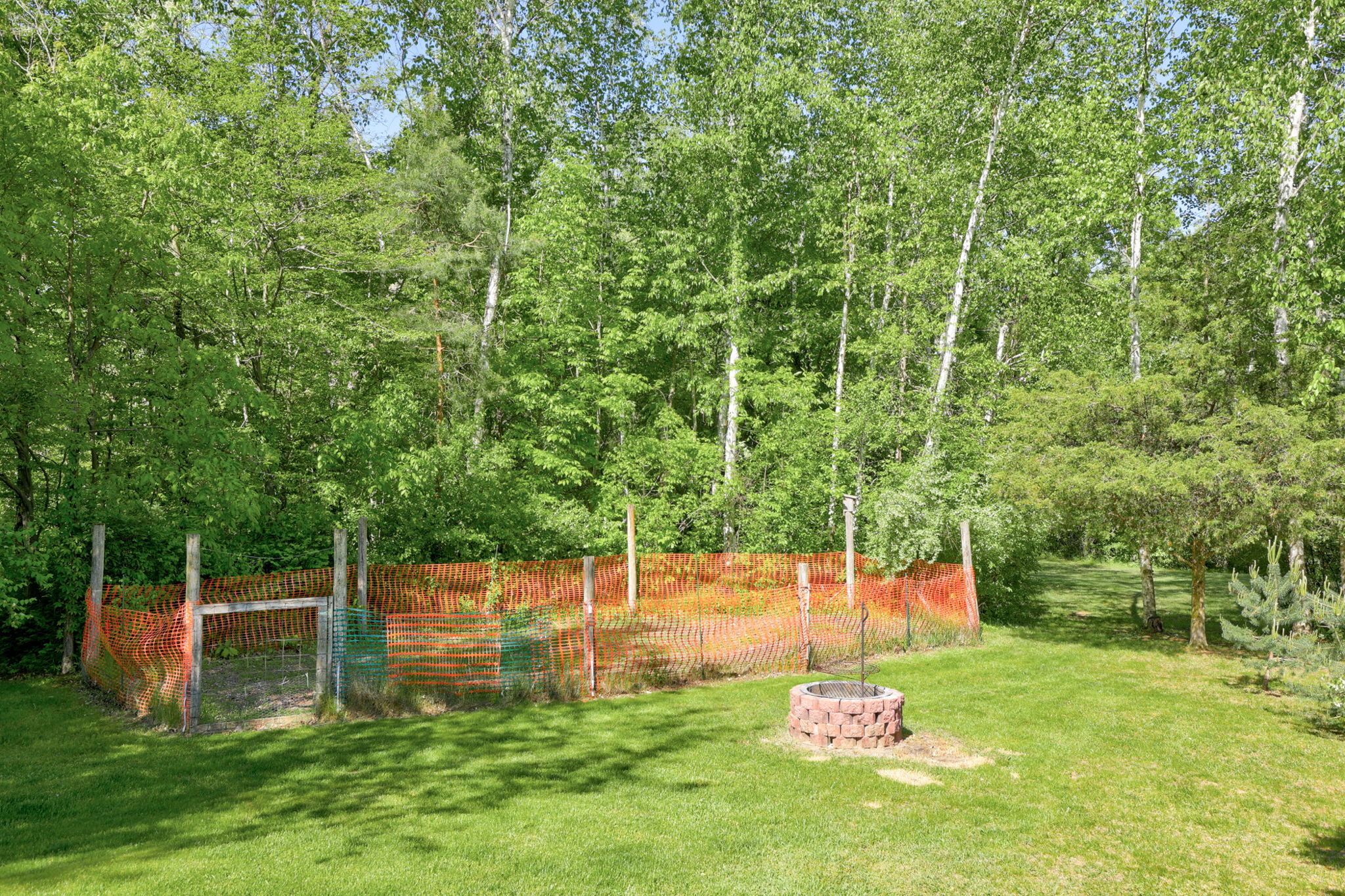  Photo 42