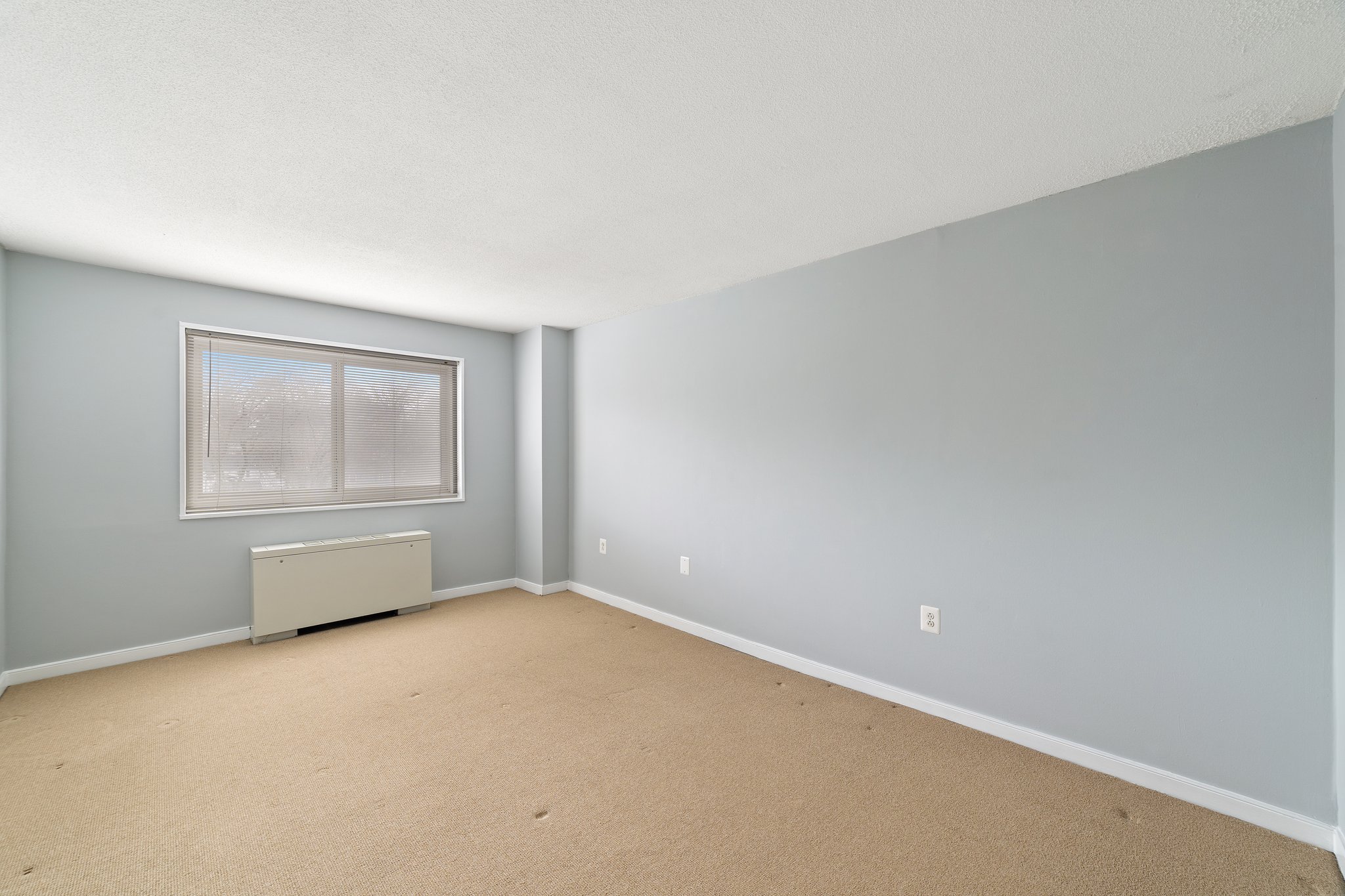 7333 New Hampshire Ave, Takoma Park, MD 20912, USA Photo 36