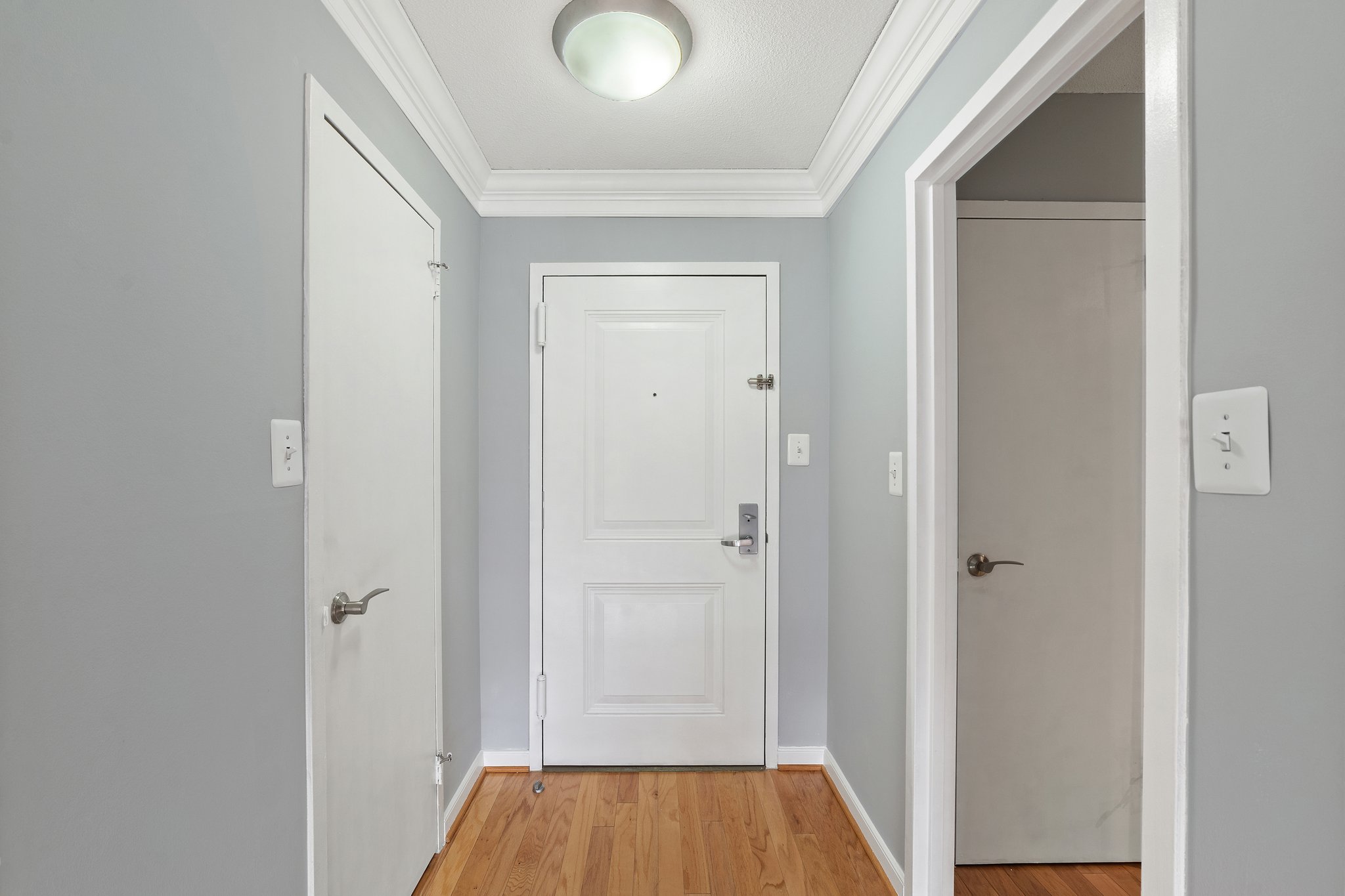 7333 New Hampshire Ave, Takoma Park, MD 20912, USA Photo 10