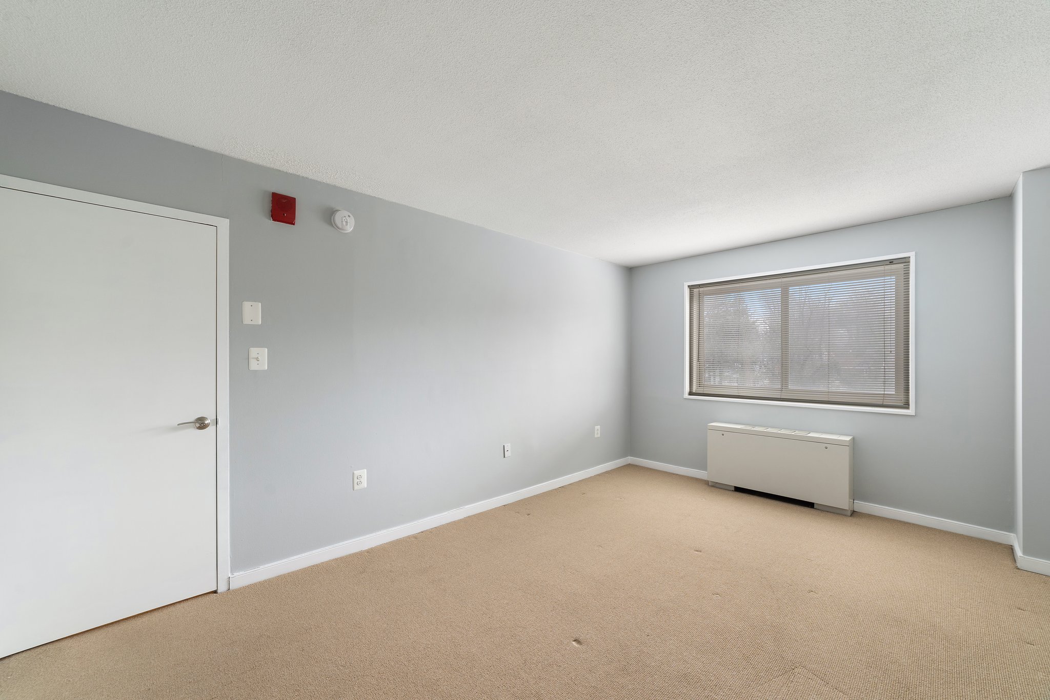 7333 New Hampshire Ave, Takoma Park, MD 20912, USA Photo 37