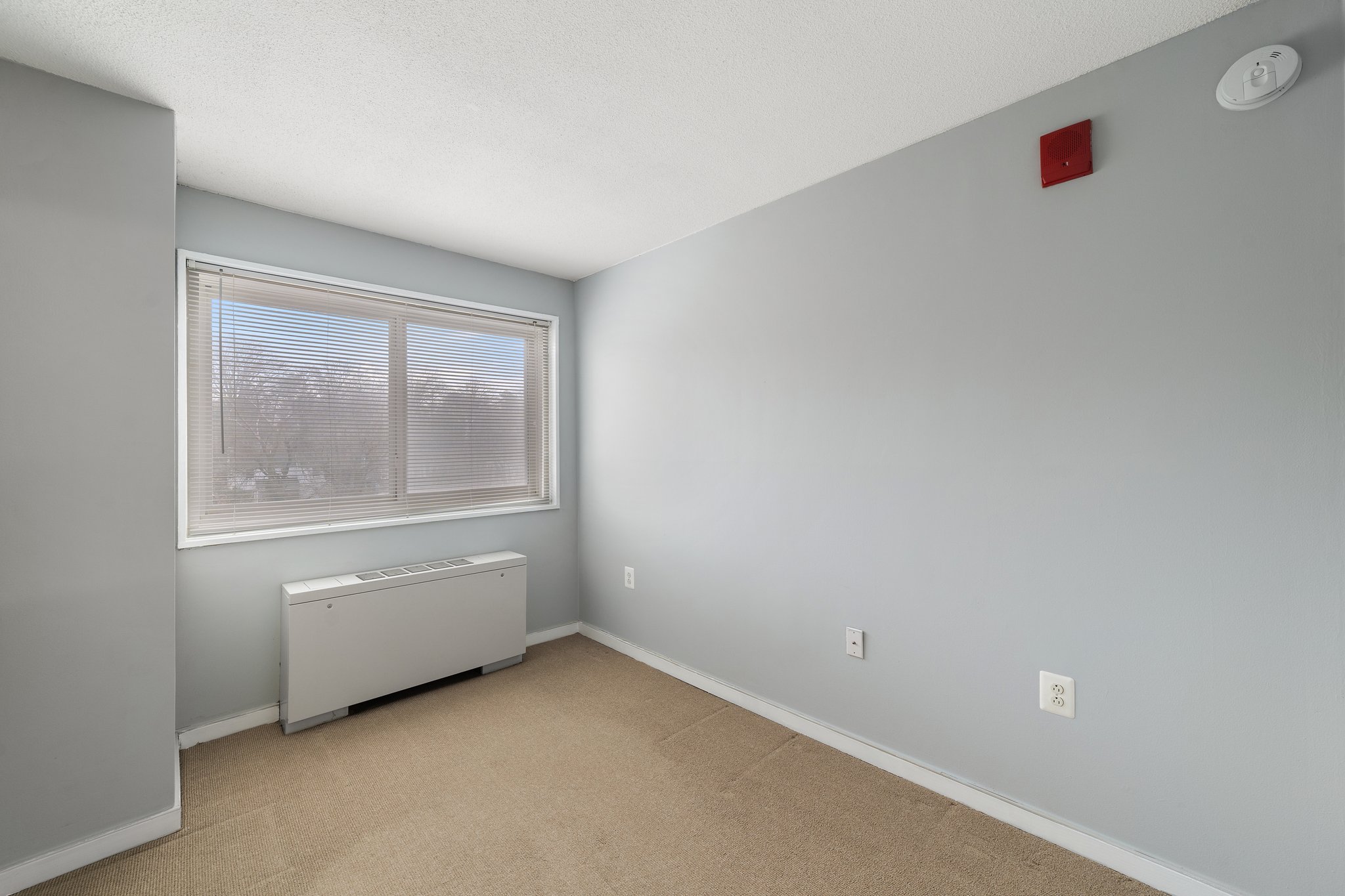 7333 New Hampshire Ave, Takoma Park, MD 20912, USA Photo 33