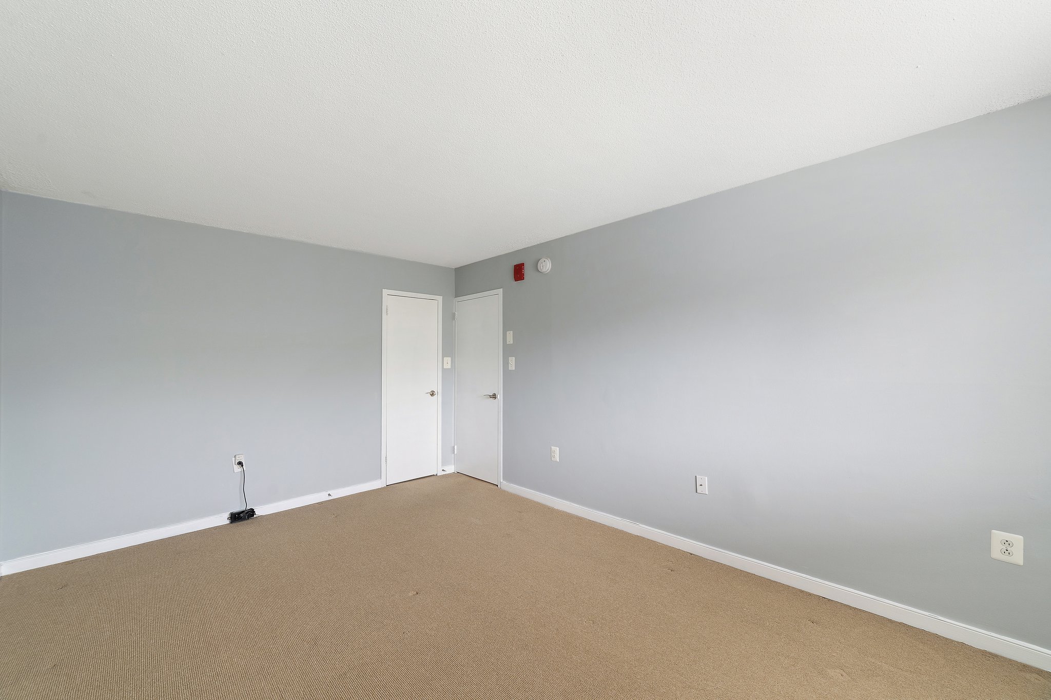 7333 New Hampshire Ave, Takoma Park, MD 20912, USA Photo 38