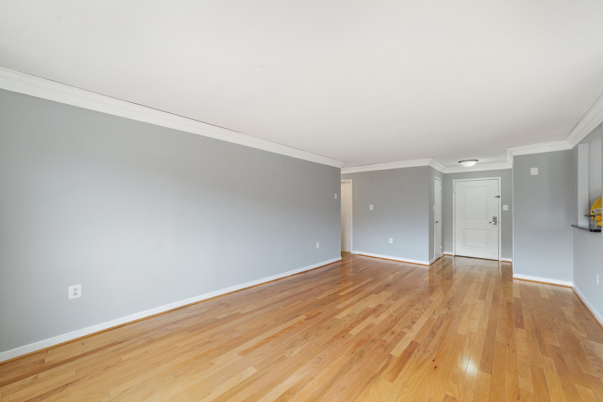 7333 New Hampshire Ave, Takoma Park, MD 20912, USA Photo 16