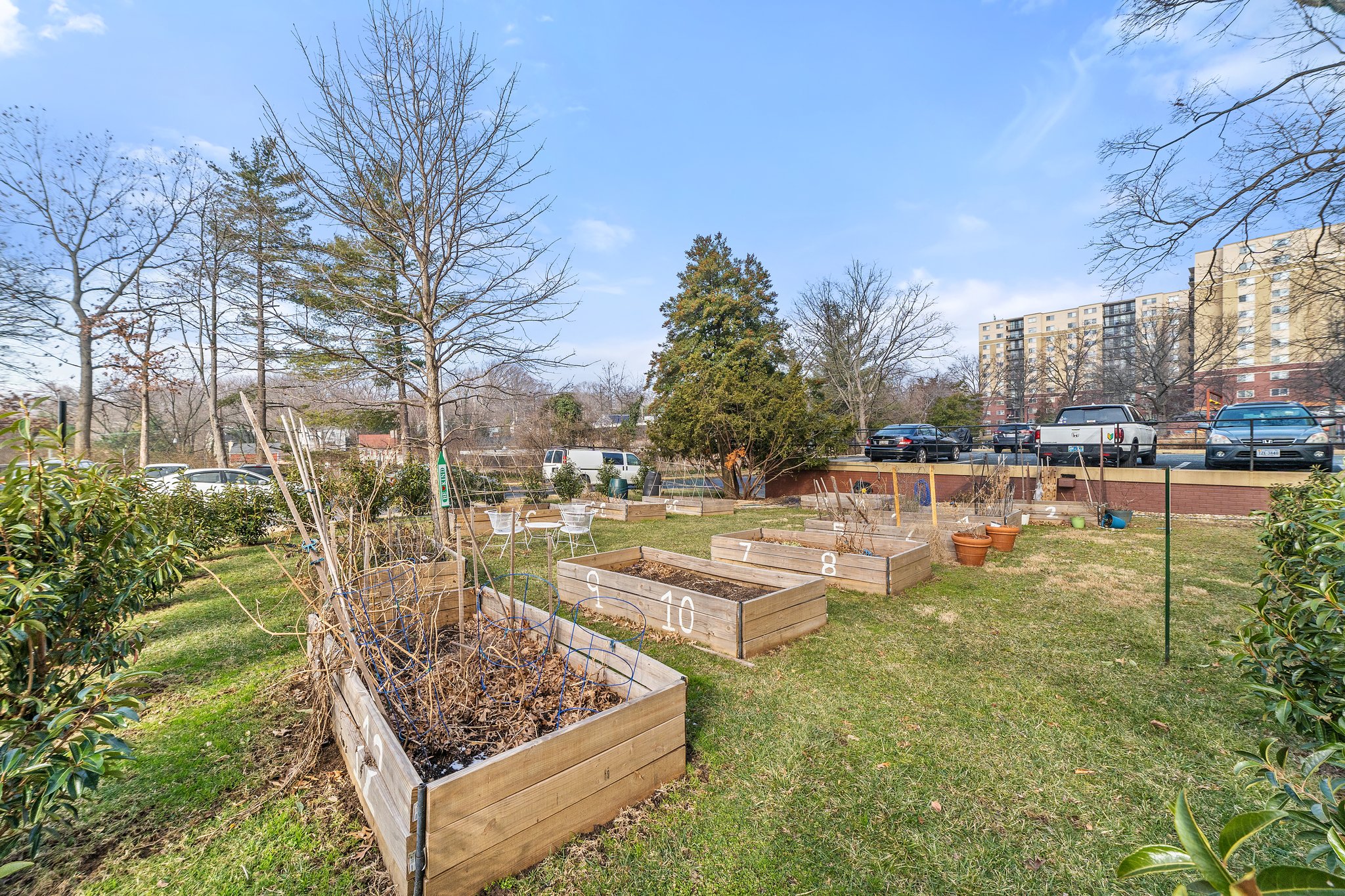 7333 New Hampshire Ave, Takoma Park, MD 20912, USA Photo 50