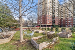 7333 New Hampshire Ave, Takoma Park, MD 20912, USA Photo 48