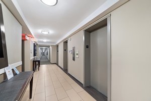 7333 New Hampshire Ave, Takoma Park, MD 20912, USA Photo 7