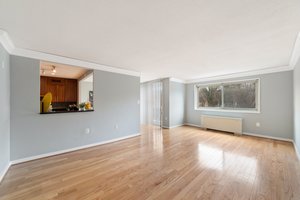 7333 New Hampshire Ave, Takoma Park, MD 20912, USA Photo 12