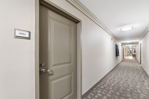 7333 New Hampshire Ave, Takoma Park, MD 20912, USA Photo 8