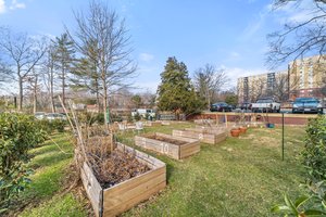 7333 New Hampshire Ave, Takoma Park, MD 20912, USA Photo 49