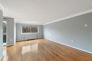 7333 New Hampshire Ave, Takoma Park, MD 20912, USA Photo 10