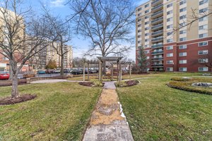 7333 New Hampshire Ave, Takoma Park, MD 20912, USA Photo 56