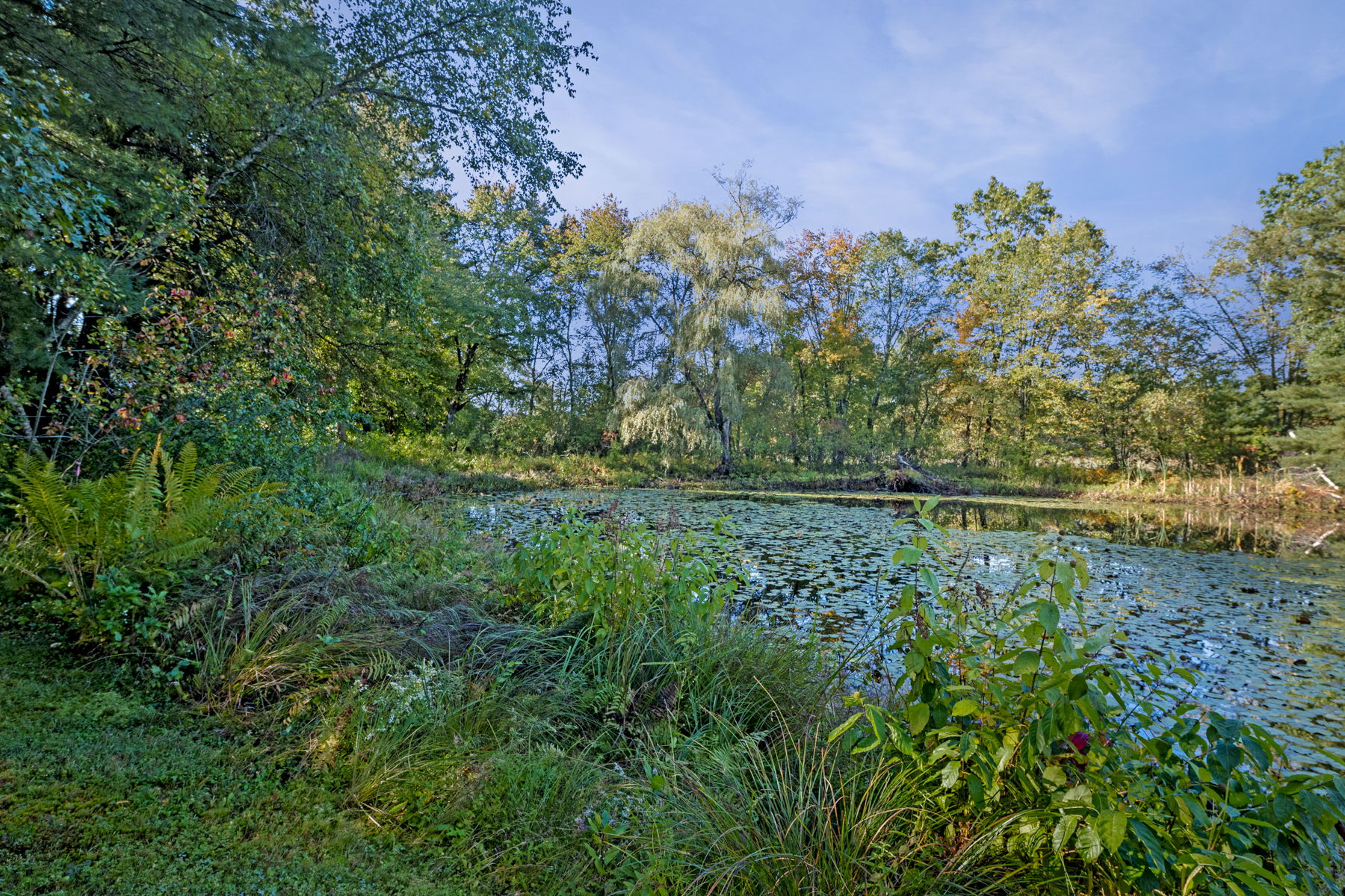  Photo 22
