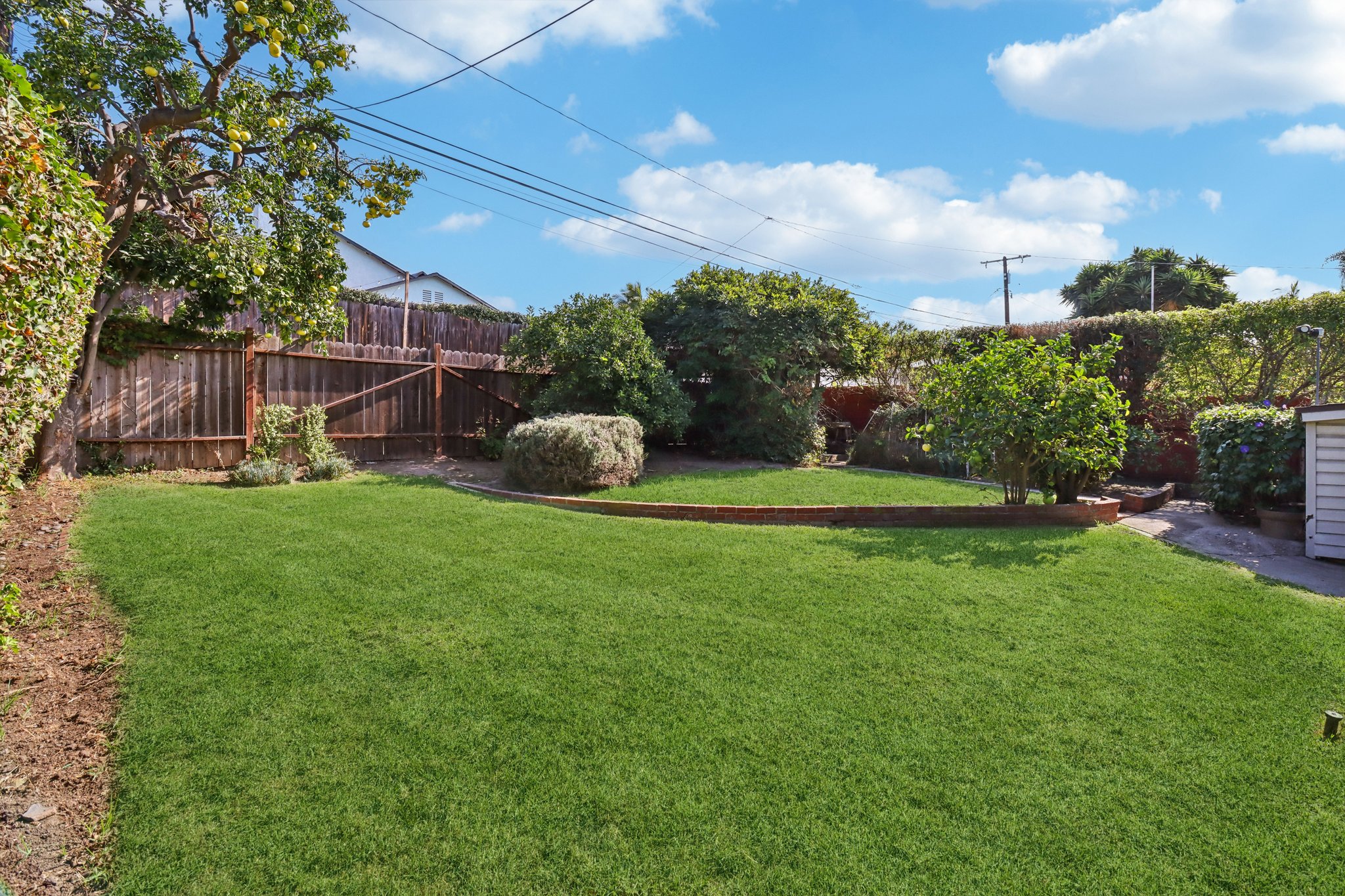 Los Altos Ave-L0711-071.jpg