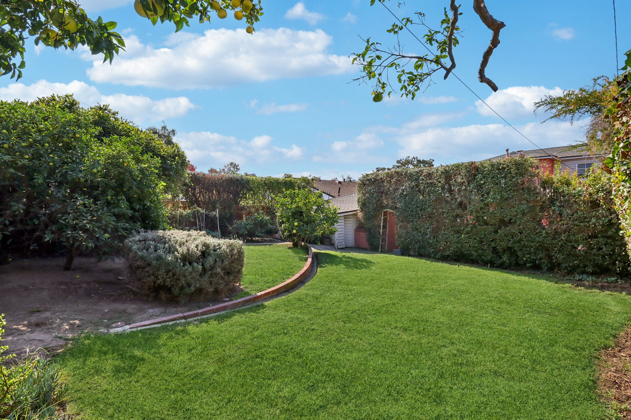 Los Altos Ave-L0711-072.jpg