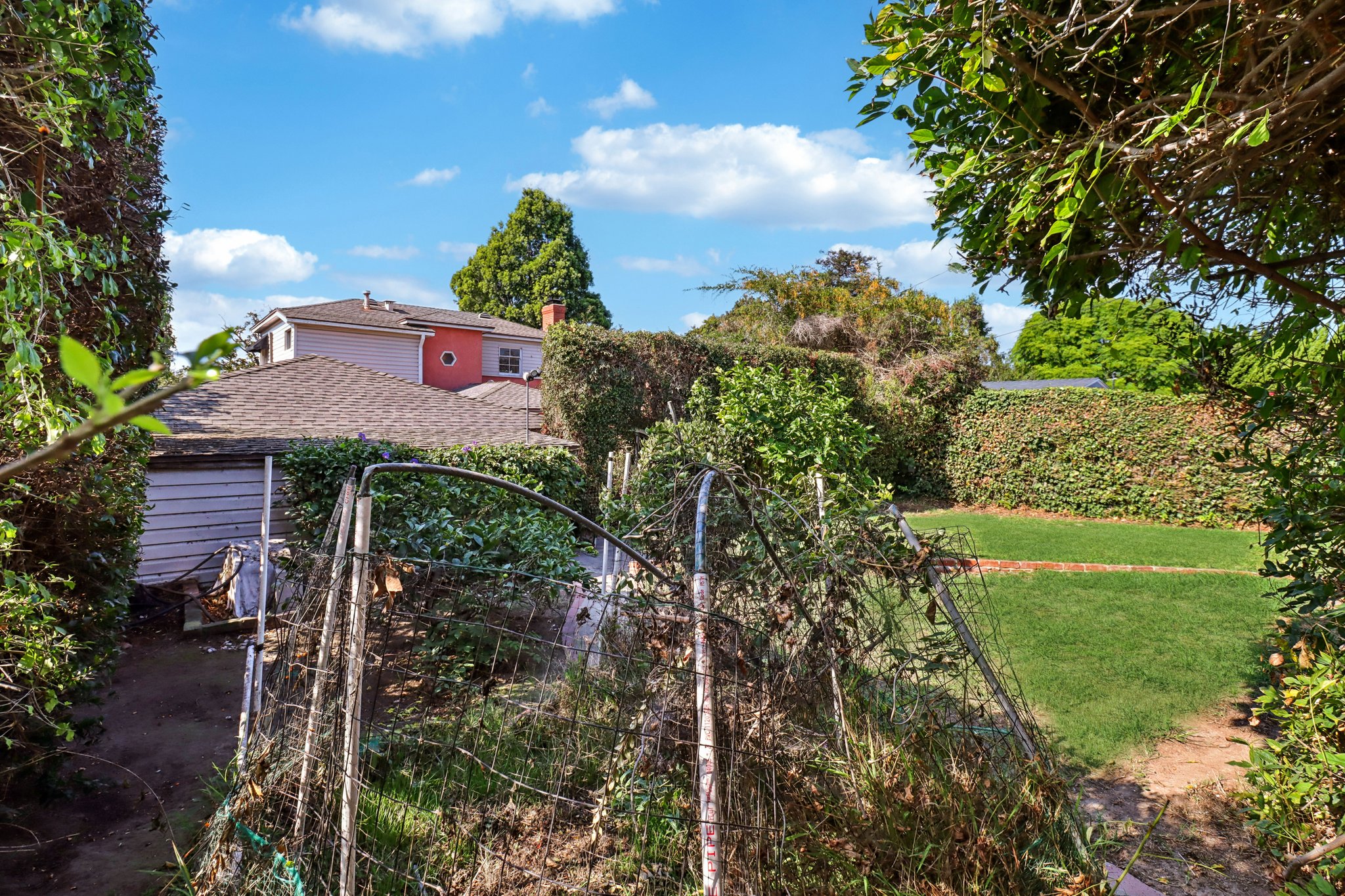 Los Altos Ave-L0711-077.jpg