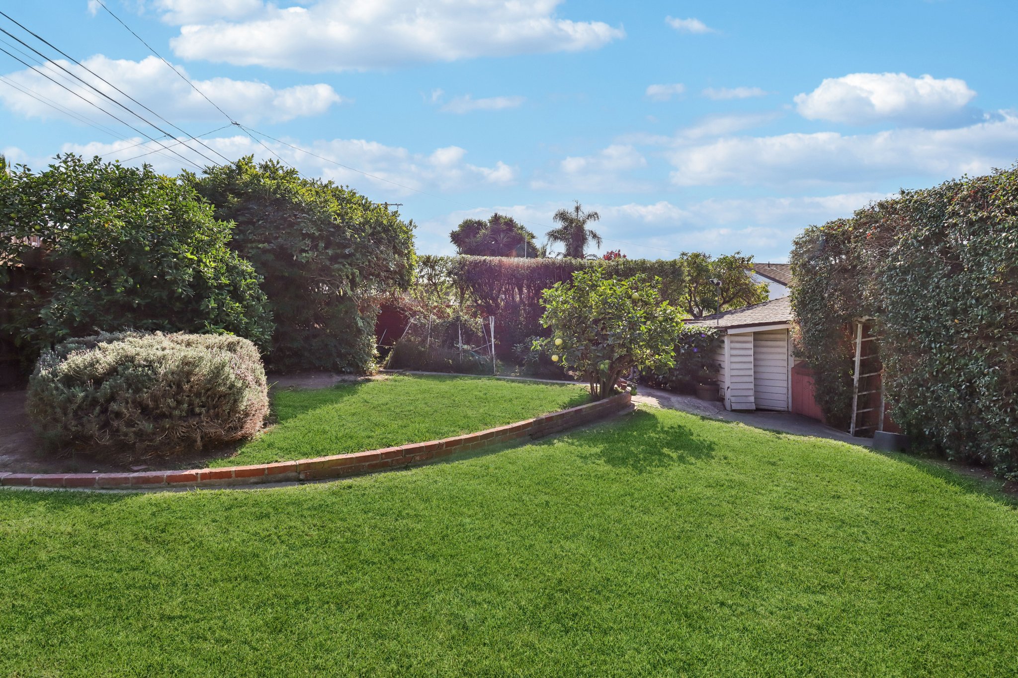 Los Altos Ave-L0711-080.jpg