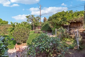Los Altos Ave-L0711-078.jpg