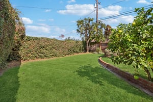 Los Altos Ave-L0711-079.jpg