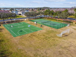 Sport Courts and Playing Fields