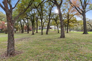7342Briar_045