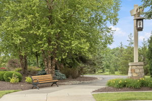  Photo 90