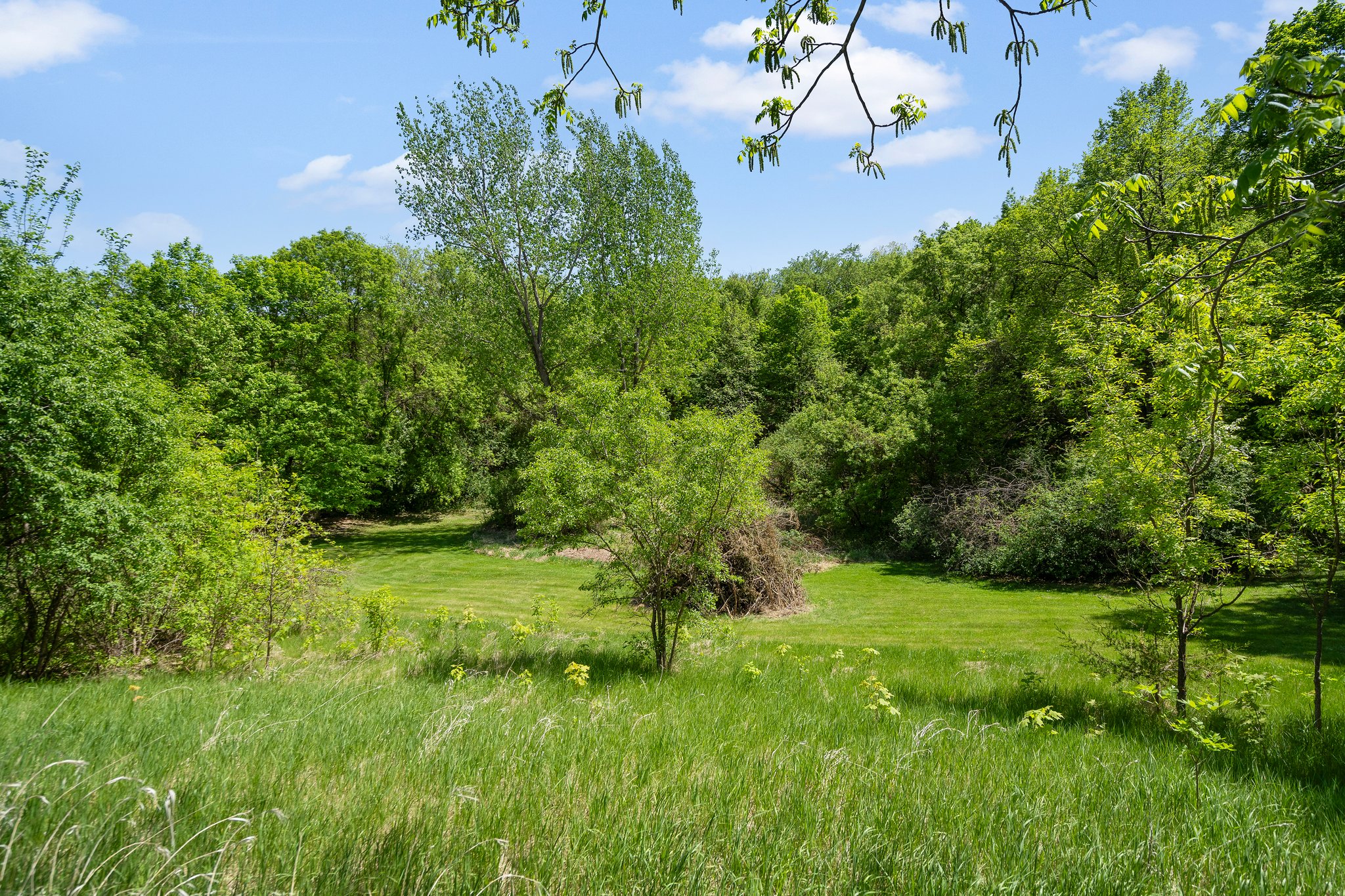  Photo 40