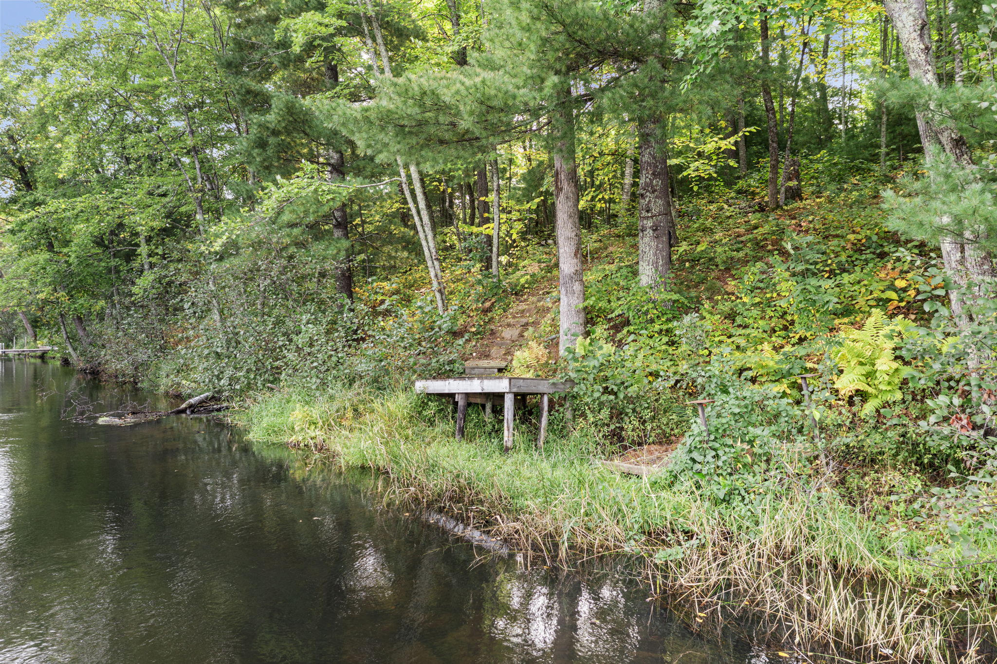  Photo 98