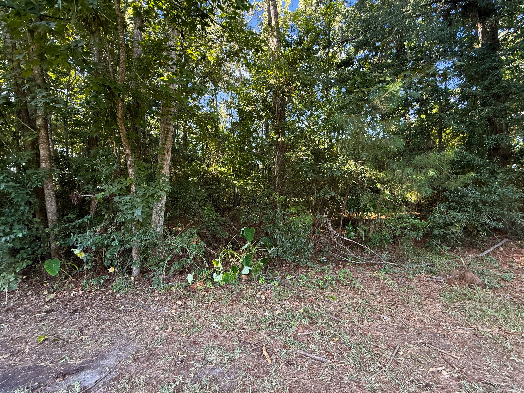  Photo 35