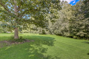 W Fleming Dr-034