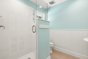 Guest Bathroom 2