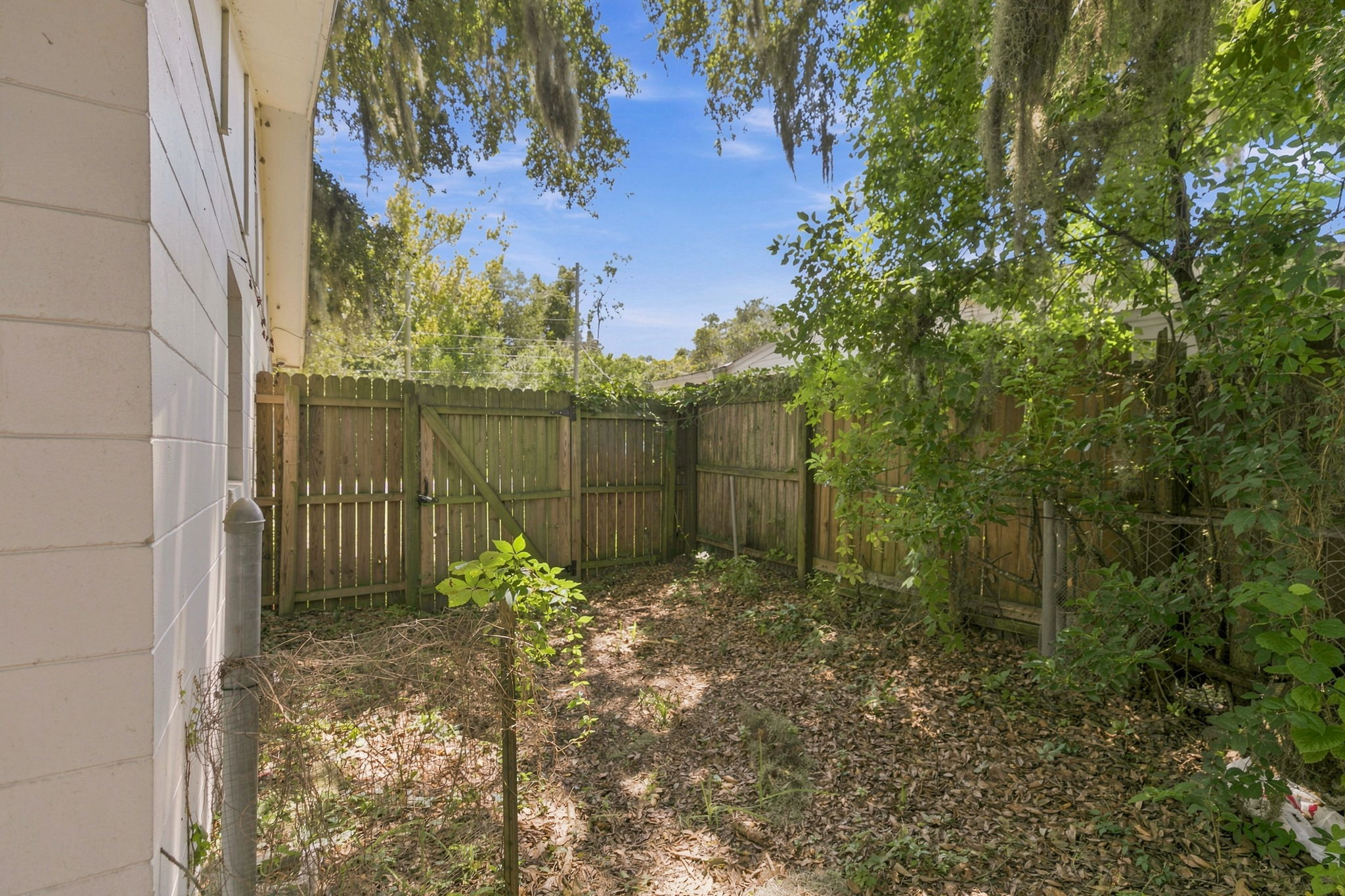 7361 Wheat Rd (42)