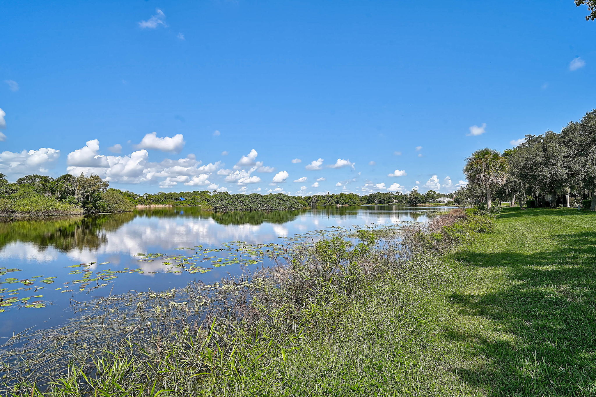 7363 Oak Moss Dr-39