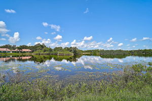 7363 Oak Moss Dr-37